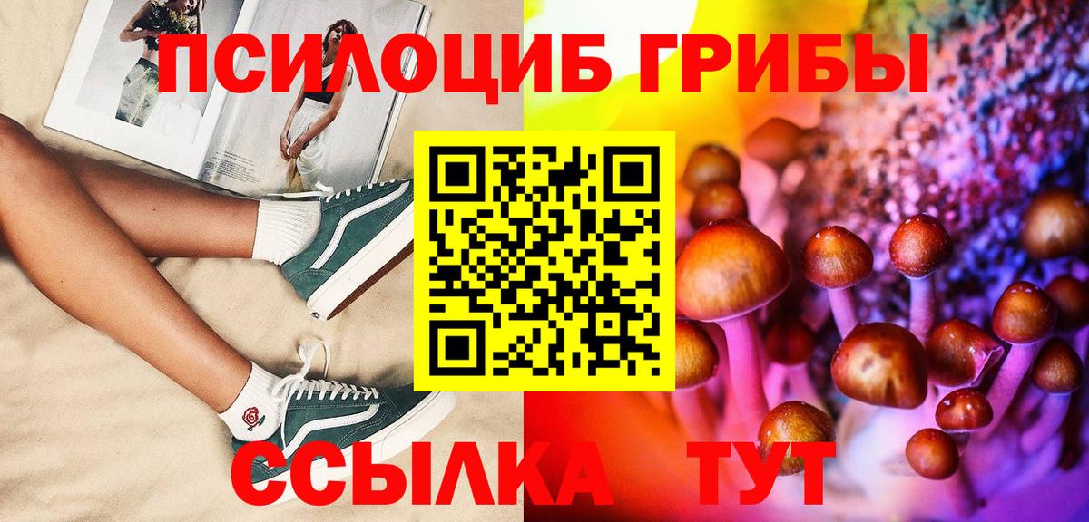 Кизилюрт  Псилоцибиновые грибы ЛСД  Вход с VPN 